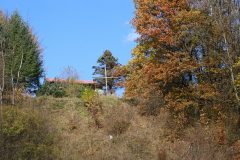 IMG_8469