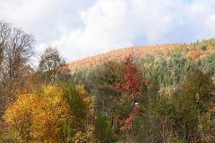 IMG_8473