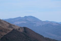 IMG_2449