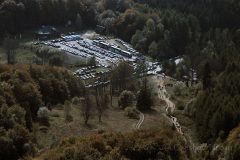 IMG_2493