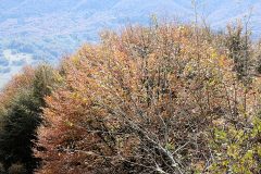IMG_2515
