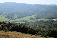 MG_2877