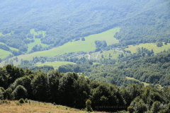 MG_2883