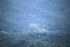 MG_2981