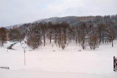 IMG_20221213_140710